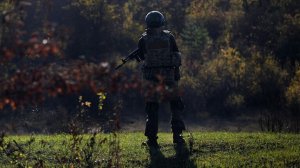 ВС России освободили два населенных пункта в ДНР