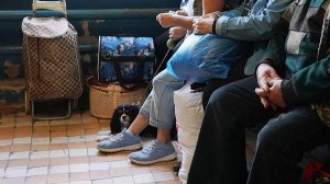 На Украине нашли 13 перемещенных из Курской области россиян