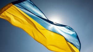 Боуз: сотрудники ТЦК на Украине стреляют в тех, кто не хочет умирать за НАТО