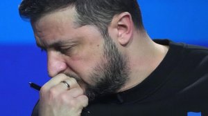 "Сказал все": в Германии указали на ярость Зеленского из-за звонка Шольца