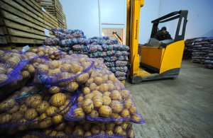 Патрушев призвал импортировать картофель из дружественных стран