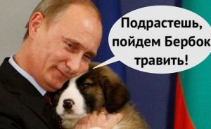 «Ангела, пожалуйста, извини» — Путин потроллил Меркель