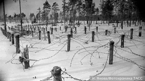 Как СССР убедил Финляндию в пользе нейтралитета