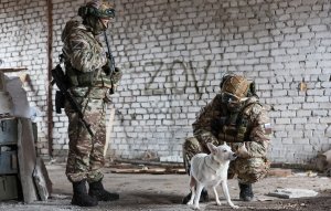 ВС РФ освободили за осень 88 населенных пунктов ©