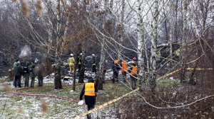 Германия не нашла доказательств причастности России к крушению самолета DHL