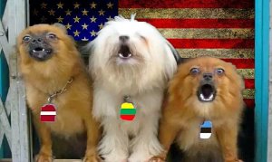 Литва, Латвия и Эстония введут санкции против подавлявших протесты в Грузии