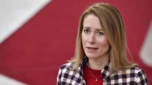 "Натовская истеричка". Филиппо прокомментировал заявления Каллас по Украине