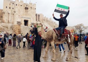Ситуация в Сирии вечером 17 декабря: провал США, драка Турции и Израиля