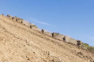 Новые власти Сирии требуют вывода американских войск из страны