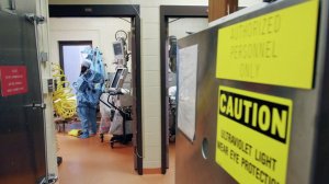 Россия продолжит разоблачать биолаборатории на Украине, заявил Небензя