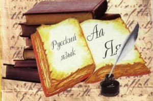 СФ одобрил закон, запрещающий принимать в школы детей без знания русского языка