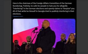 Вмешательство в выборы: Илону Маску в Германии нельзя, а Михаэлю Роту в Грузии можно