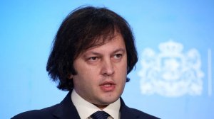 Премьер Грузии назвал санкции против Иванишвили «наградой»