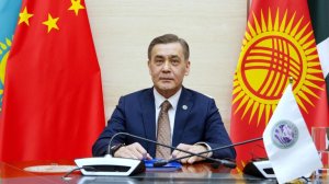Генсек ШОС рассказал о планах организации на 2025 год
