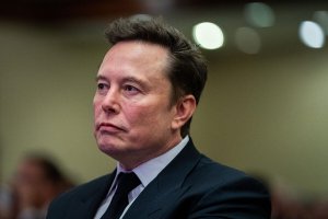 Илон Маск назвал вице-канцлера ФРГ Хабека предателем немецкого народа