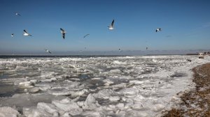 В Кремле осудили планы Британии и Украины сотрудничать в Азовском море