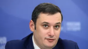 Хинштейн раскритиковал чиновницу за отпуск в Индии во время СВО