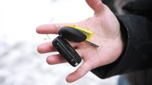 В России закроются десятки китайских автодилерских центров, заявили в РОАД