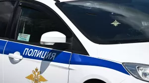 Британца Джонсона арестовали за мат на улице в Москве