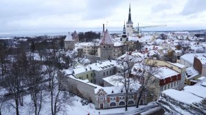 Премьер Эстонии допустил отключение электроснабжения на 72 часа
