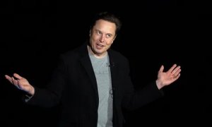 Ведомство Маска урезало финансирование программ инклюзивности США