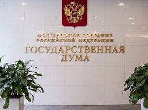 В ГД предложили лишить господдержки детские организации, связанные с иноагентами
