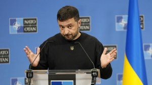 Зеленский сделал НАТО странное предложение