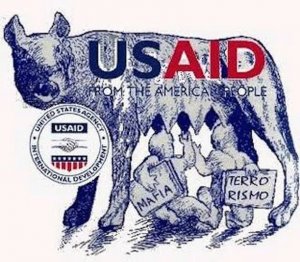 Грузия потребовала расследовать деятельность USAID и фондов Брюсселя