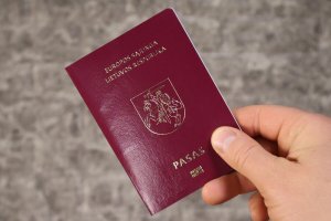 В Литве предупредили о наказании за паспорта белорусской оппозиции