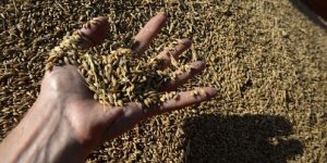 В России рассказали о новом торговом партнёре с многомиллионным оборотом. Афганистан неожиданно стал лидером по закупкам российской муки.