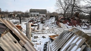 Минобороны: ВСУ убили почти всех жителей села Николаево-Дарьино, спасся один