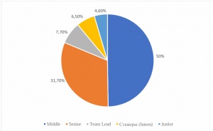 Анализ рынка ИТ-Специалистов в России: пузырь или устойчивый рост?