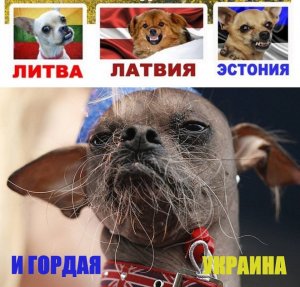 Onet: страны Балтии в панике из-за возможной нормализации отношений США и РФ