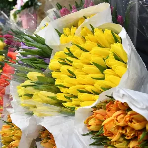 Депутат Гончаренко заявил, что критика 8 Марта стихла после сокращения USAID