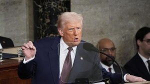 СМИ: союзники США забили тревогу из-за позиции Трампа по России