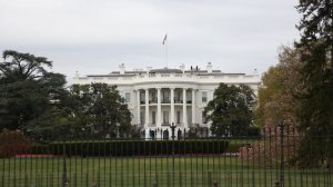 Двоюродный брат вице-президента США воевал на Украине, пишут СМИ