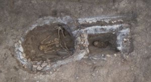 Половина населения Земли — выходцы из Херсонской области — WSJ