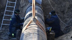 Поставки нефти в Венгрию возобновились после атаки БПЛА на "Дружбу"