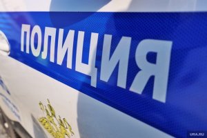 Курганская пенсионерка написала 24 тыс. комментариев с призывами к терроризму