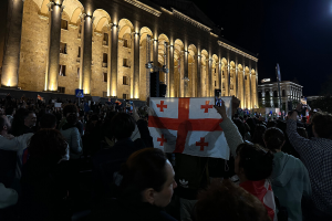 Грузия обвинила американских политиков в "неблагодарности"