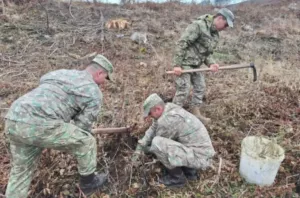 Запланированные на май учения НАТО в Румынии Dacian Spring 25 отложены из-за плохих дорог
