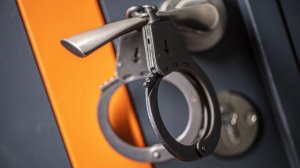 США передали России обвиняемого в хищении десятков миллионов рублей