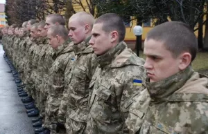 «Хотелось намного больше»: Замглавы офиса Зеленского сообщил о фактическом провале программы по привлечению молодёжи в ВСУ
