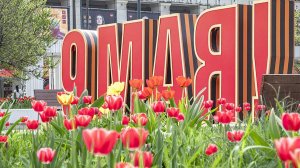 Премьер-министр Словакии Роберт Фицо отверг заявление Владимира Зеленского о возможных угрозах для участников торжеств по случаю 80-й годовщины Победы в Москве 9 мая.