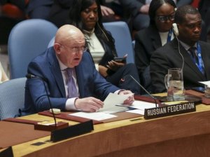 «Не имеет права тут выступать!» – постпред РФ в ООН отказался слушать западного надсмотрщика за Боснией
