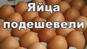 [₽98,3] Средняя стоимость десятка куриных яиц в российской рознице упала ниже 100 рублей впервые за 1,5 года