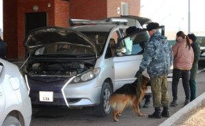 Для въезда в Россию иностранцам с 30 июня потребуется QR-код
