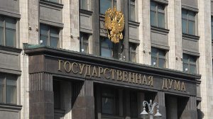 В ГД работают над запретом въезда иностранцам за оскорбление России