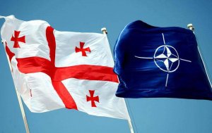 Британский дипломат пригрозил Грузии войной с Россией