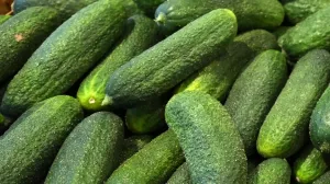 В России огурцы подешевели до минимума за полгода: средняя цена за килограмм в мае снизилась до 138,2 рубля